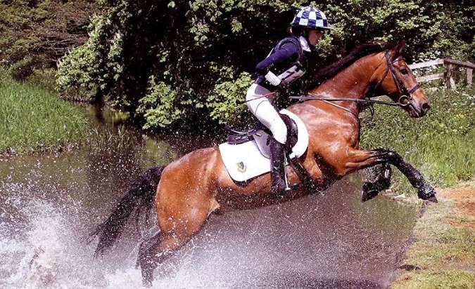 ��Ӣ����ѧ�����������ϵ�Ӣ���ˬ