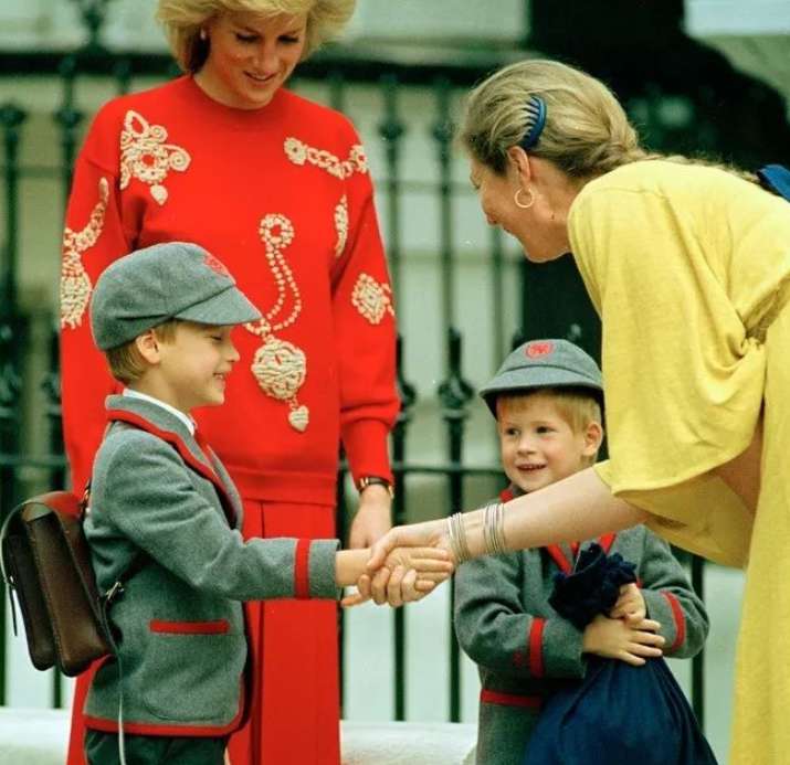 ��Ӣ��Сѧ�Ƽ�����Ҫ�������ӣ���У����Ҫ��