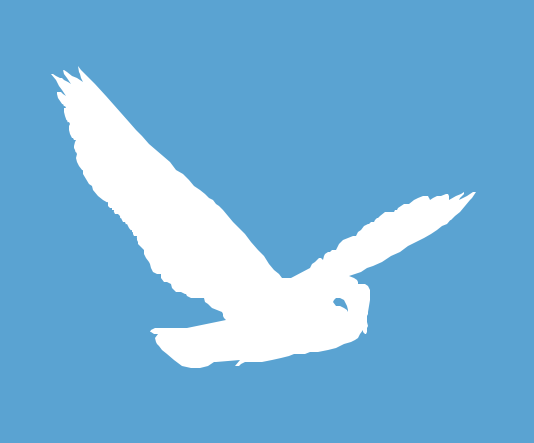 ���޵³Ǳ�ѧУ